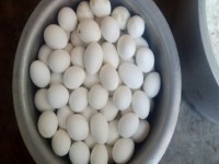 Weekend Nutrition Program-Ambivli Neral